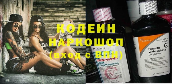 дурь Болохово