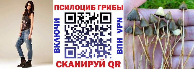 даркнет сайт  Кемь  Псилоцибиновые грибы Cubensis 
